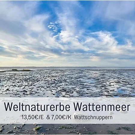 Kumm Rin - Ihre Private Nordsee-oase Direkt Hinter Dem Deich - Privater Gartenstrand - Sauna & Kamin - Vieles Fuer Den Kleinen Gast Lejlighed Carolinensiel