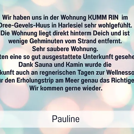 Lejlighed Kumm Rin - Ihre Private Nordsee-oase Direkt Hinter Dem Deich - Privater Gartenstrand - Sauna & Kamin - Vieles Fuer Den Kleinen Gast Carolinensiel