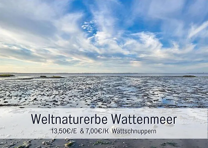 Kumm Rin - Nordsee-oase Für Zwei! Sauna-kamin Und Gartenstrand! Baby Willkommen! Apartment Carolinensiel